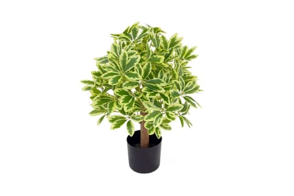 Picture of Test No Order - ARTIFICIAL PLANT 198 Leaves (60cm)