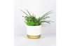 Picture of Test No Order - ARTIFICIAL PLANT 280 with Vase (14cm x 36cm)