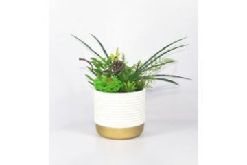 Picture of Test No Order - ARTIFICIAL PLANT 280 with Vase (14cm x 36cm)