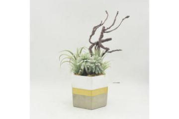 Picture of Test No Order - ARTIFICIAL PLANT 281 with Vase (20cm x 28cm)