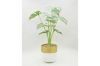 Picture of Test No Order - ARTIFICIAL PLANT 282 with Vase (14.5cm x 50cm)