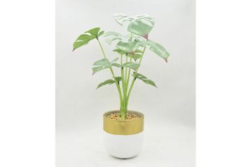 Picture of Test No Order - ARTIFICIAL PLANT 282 with Vase (14.5cm x 50cm)