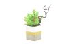 Picture of Test No Order - ARTIFICIAL PLANT 283 with Vase (18cm x 24cm)