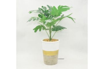 Picture of Test No Order - ARTIFICIAL PLANT 284 with Vase (34cm x 45cm)