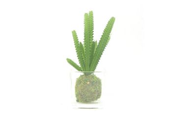 Picture of Test No Order - ARTIFICIAL PLANT 288 with Vase (6.5cm x 20cm)