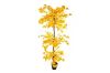 Picture of Test No Order - ARTIFICIAL PLANT Ginkgo Tree (180cm)