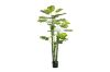 Picture of Test No Order - ARTIFICIAL PLANT Monstera Delicosa (170cm)