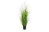 Picture of Test No Order - ARTIFICIAL PLANT Onion Grass (48cm/150cm)