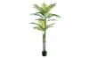 Picture of Test No Order - ARTIFICIAL PLANT Palm (140cm/195cm)