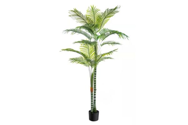 Picture of Test No Order - ARTIFICIAL PLANT Palm (140cm/195cm)