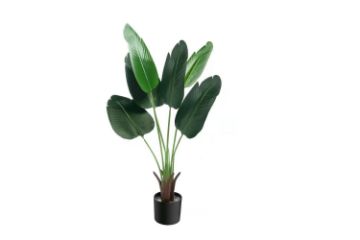 Picture of Test No Order - ARTIFICIAL PLANT Tropical Banana Leaf (120cm/180cm)