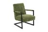 Picture of Test No Order - PARAMOUNT Corduroy Fabric Arm Chair (Green)