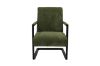 Picture of Test No Order - PARAMOUNT Corduroy Fabric Arm Chair (Green)