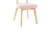 Picture of Test No Order - TALIA Teddy Fabric Dinning Chair (Pink)