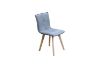 Picture of Test No Order - LANETT Dining Chair (Dark Grey)