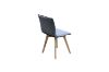 Picture of Test No Order - LANETT Dining Chair (Dark Grey)