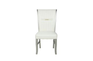 Picture of Test No Order - SEAPORT Dining Chair (Champagne) - Single