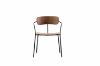 Picture of Test No Order - LYRA Dining Arm Chair (Walnut)