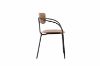 Picture of Test No Order - LYRA Dining Arm Chair (Walnut)