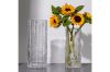 Picture of Test No Order - GLACIER-SHAPED Tall/Short Glass Vase (Transparent/Smoke Grey)