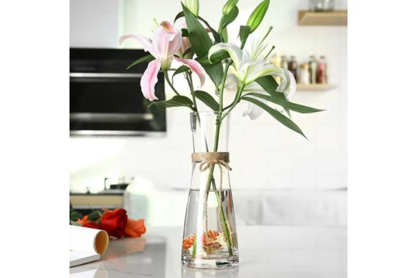 Picture of Test No Order - SMOOTH Slim-Waisted Transparent Glass Vase