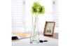 Picture of Test No Order - SMOOTH Slim-Waisted Transparent Glass Vase