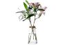 Picture of Test No Order - SMOOTH Slim-Waisted Transparent Glass Vase