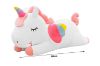 Picture of Test No Order - CUTE RAINBOW Big/Small with Winged Unicorn Cushion  (Pink/White/Green)