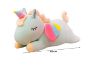 Picture of Test No Order - CUTE RAINBOW Big/Small with Winged Unicorn Cushion  (Pink/White/Green)