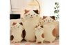 Picture of Test No Order - CUTE CHEESE CAT Large/Small Plush Cushion