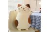 Picture of Test No Order - CUTE CHEESE CAT Large/Small Plush Cushion