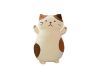 Picture of Test No Order - CUTE CHEESE CAT Large/Small Plush Cushion