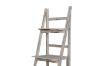 Picture of Test No Order - BABION 3-Tier Ladder Shelf