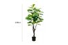 Picture of Test No Order - Artificial Plant  Fiddle Leaf (Black Plastic Pot)- 120cm