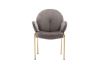 Picture of Test No Order - OLA Velvet Armchair with Golden Legs (Brown)