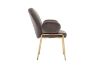 Picture of Test No Order - OLA Velvet Armchair with Golden Legs (Brown)