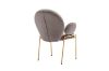 Picture of Test No Order - OLA Velvet Armchair with Golden Legs (Brown)